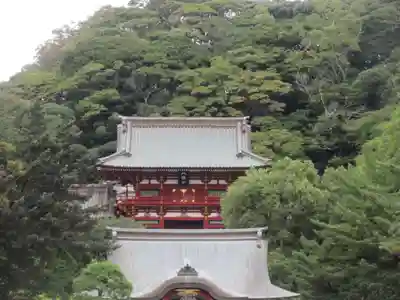 鶴岡八幡宮(神奈川県)