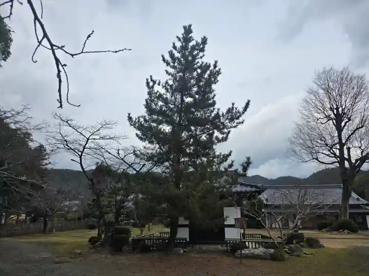 大覚寺(京都府)