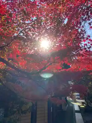 鎌倉宮(神奈川県)