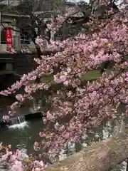 松戸神社の自然