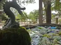 嵐山瀧神社の手水