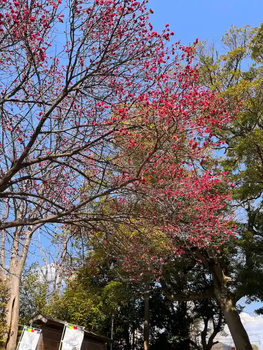 大宮・大原神社の自然