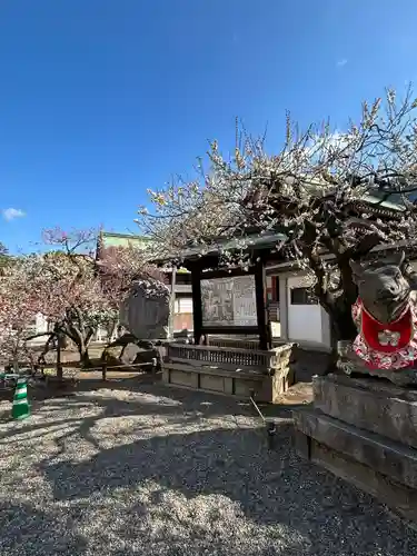 北野天満宮(京都府)