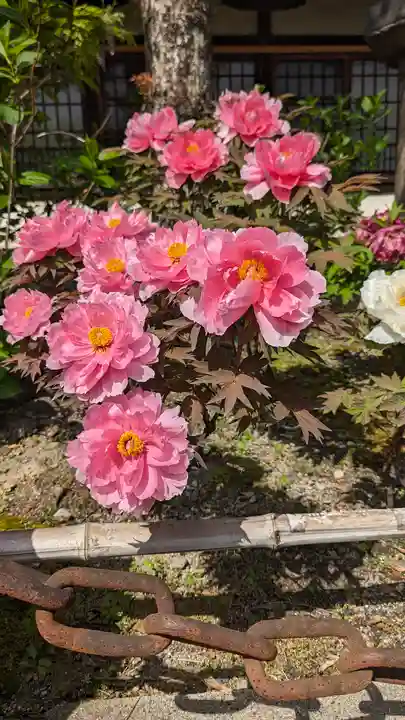 六孫王神社(京都府)