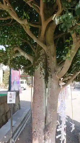 健田須賀神社(茨城県)