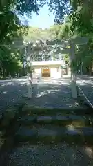 上田神社の鳥居