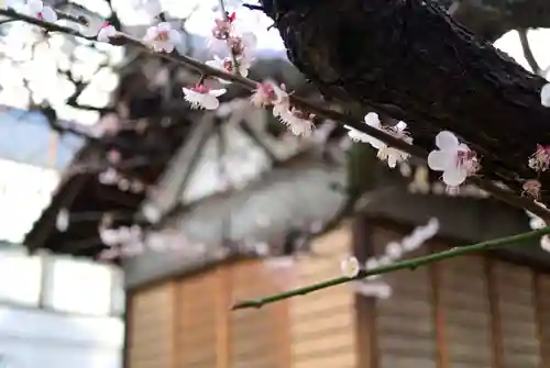 平河天満宮の自然