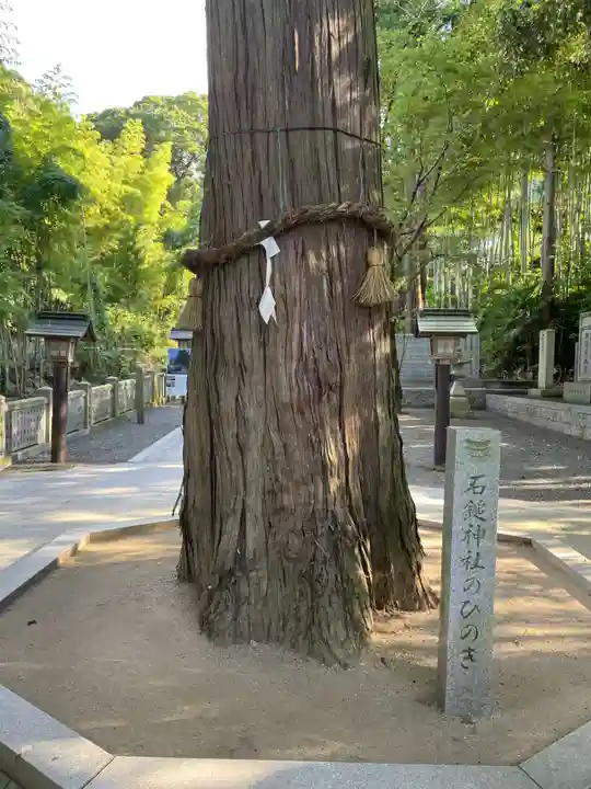 石鎚神社 口之宮 本社(愛媛県)