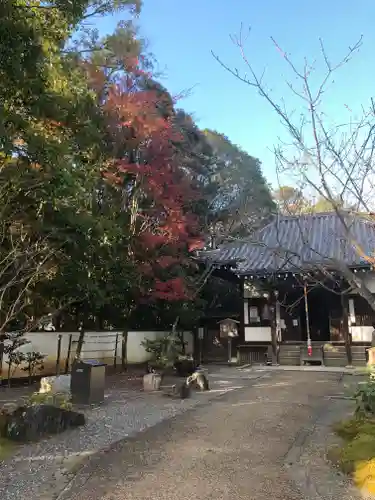 御寺 泉涌寺の庭園