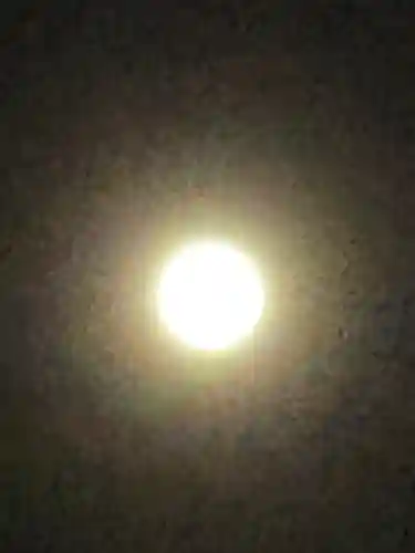 櫻木神社(千葉県)