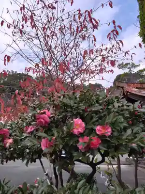 熊本大神宮(熊本県)