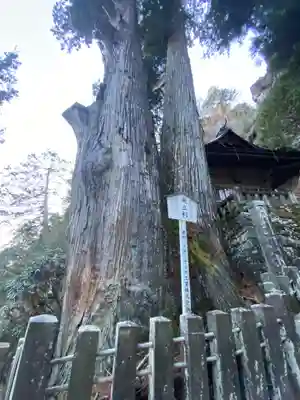 榛名神社(群馬県)