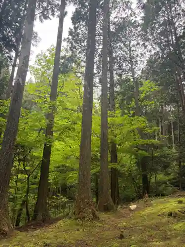 御岩神社(茨城県)
