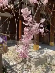 新田神社の自然