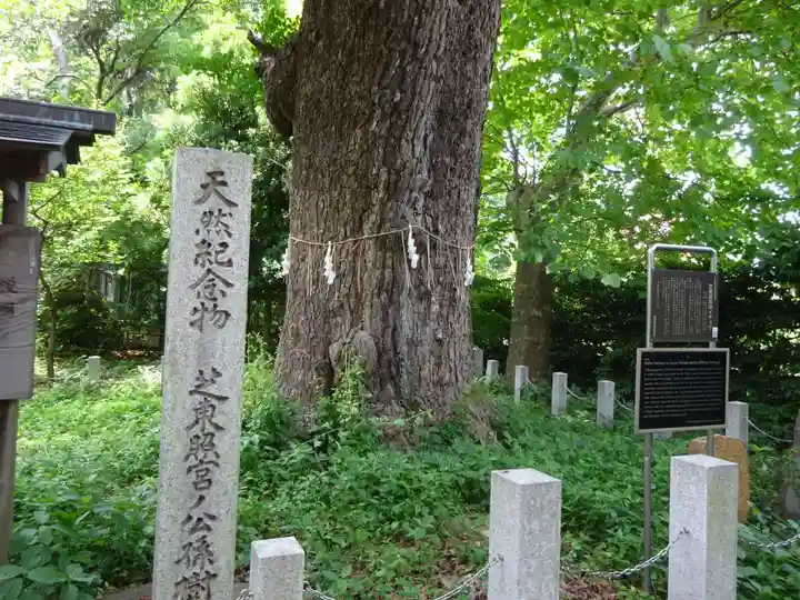芝東照宮の自然