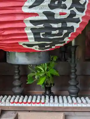 単伝庵(京都府)