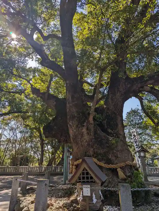 大麻比古神社(徳島県)