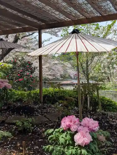 鶴岡八幡宮の庭園