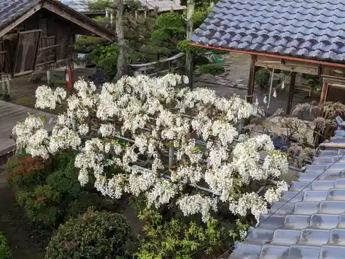倶梨迦羅神社(長野県)