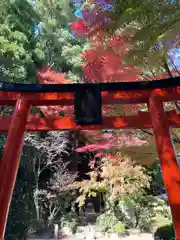 徳光院の鳥居