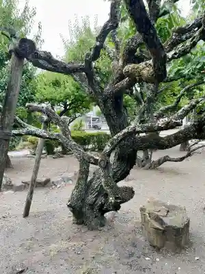 地福寺(神奈川県)