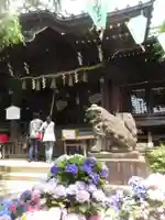 白山神社の狛犬