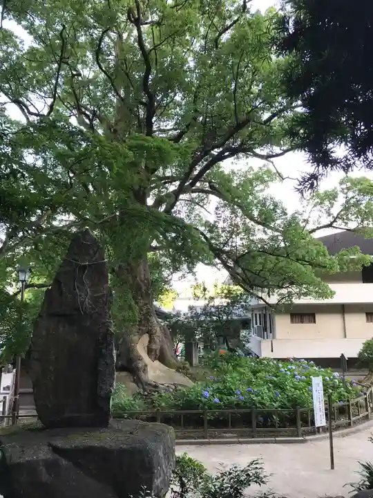太宰府天満宮の庭園