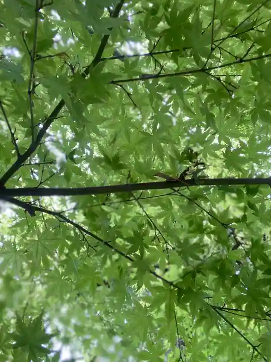城南宮(京都府)