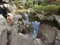 吉備津神社(岡山県)