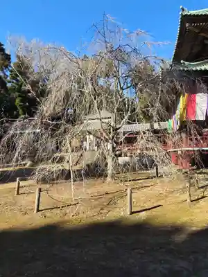 神野寺(千葉県)