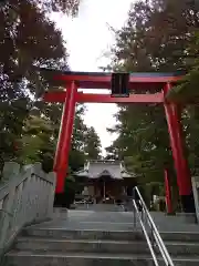 白笹稲荷神社の鳥居