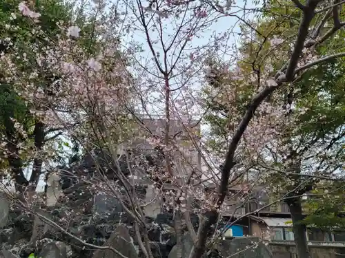 千住神社の自然