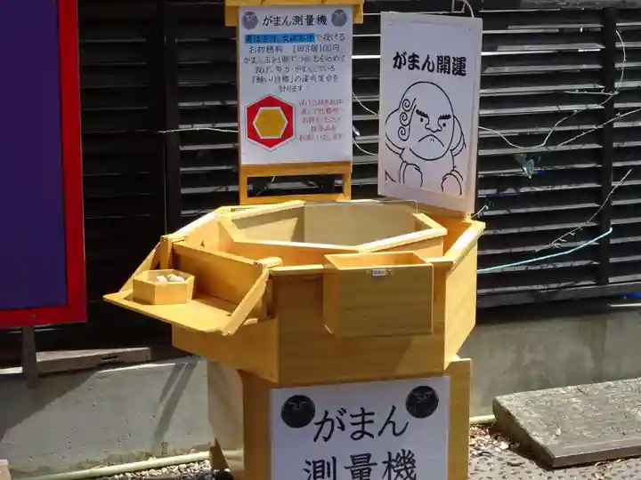 菊名神社の体験その他