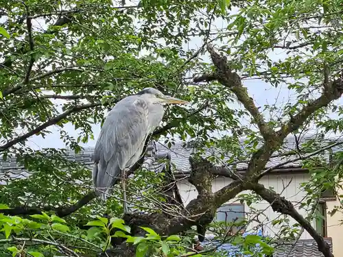 瀧宮神社(埼玉県)