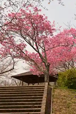 理正院(愛媛県)