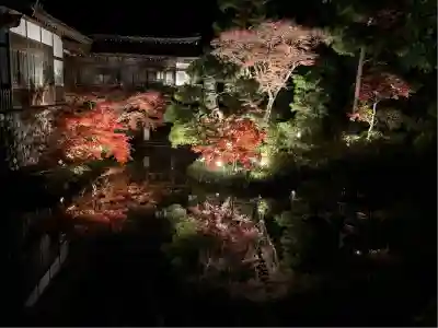 宝登山神社(埼玉県)