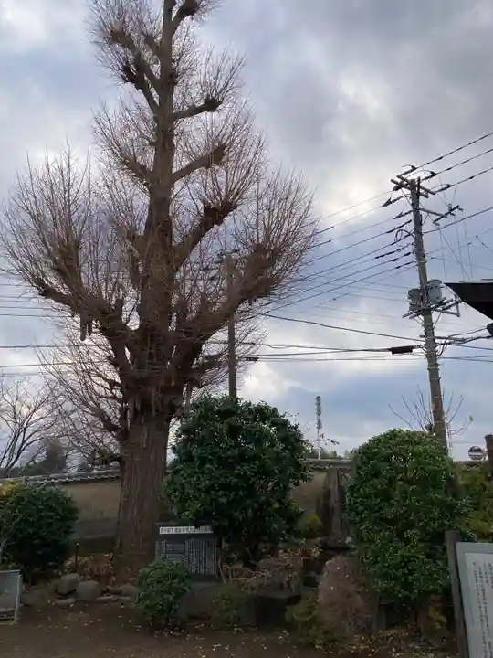 光明寺(神奈川県)