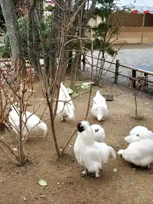 高屋敷稲荷神社(福島県)