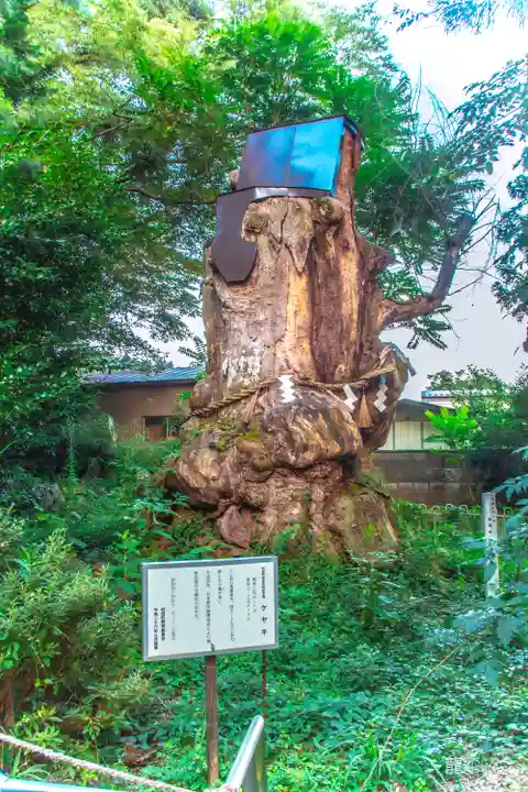 白鳥神社(宮城県)