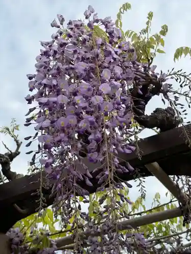 西方山極楽寺(岐阜県)