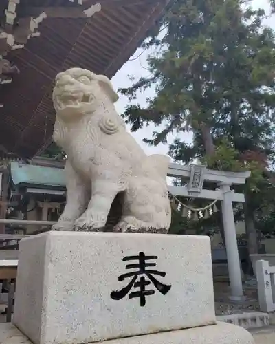 八剱神社の狛犬