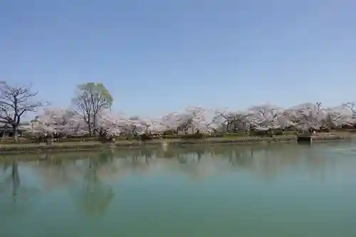 長岡天満宮の周辺