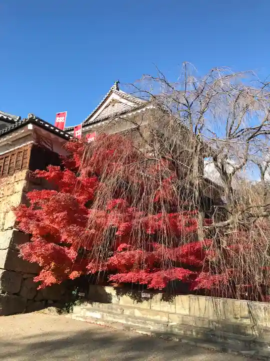 眞田神社の庭園