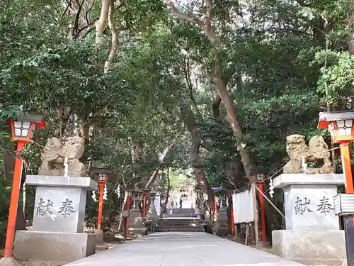 越木岩神社の狛犬