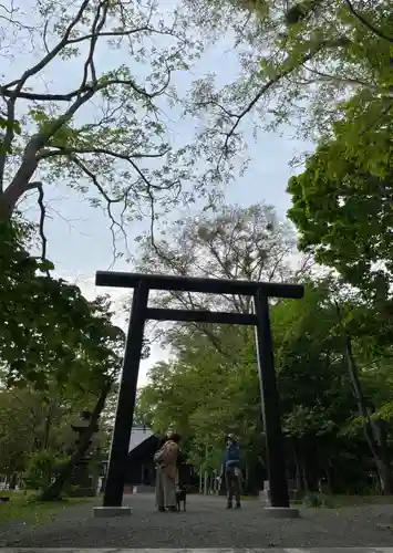 錦山天満宮の鳥居