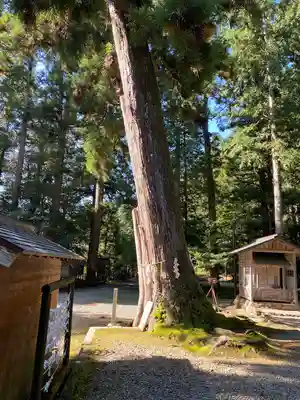 元伊勢内宮 皇大神社(京都府)