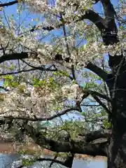 寛永寺不忍池弁天堂(東京都)