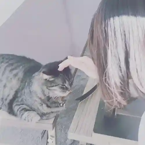 前玉神社の動物