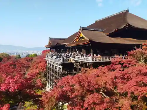 清水寺(京都府)