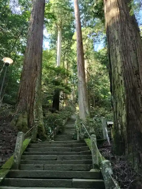 室生寺の{uncategorized: "未分類", other: "その他", undefined: "問題あり", building: "その他建物", grave: "お墓", sacred_gate: "鳥居", guardian: "狛犬", statue: "像", buddha: "仏像", history: "歴史", nature: "自然", garden: "庭園", animal: "動物", pagoda: "塔", temizu: "手水舎", mountain_gate: "山門・神門", sanctuary: "本殿・本堂", subordinate: "末社・摂社", art: "芸術", scenery: "景色", jizo: "地蔵", ema: "絵馬", goshuin: "御朱印", omikuji: "おみくじ", items: "授与品その他", amulet: "お守り", goshuincho: "御朱印帳", eats: "食事", festival: "お祭り", votive_dance: "神楽", shichigosan: "七五三参", wedding: "結婚式", experience: "体験その他", initially: "初詣", around: "周辺", anti_infection: "感染症対策"}